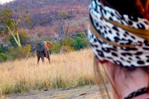 Eine Abenteuerreise in die Wildnis Afrikas: Sprecherin und Journalistin Lara Hoffmann präsentiert ihre Doku mit Livebericht "Das Wilde Herz Afrikas. Wie ein Rangerschnupperkurs mein Leben veränderte"
